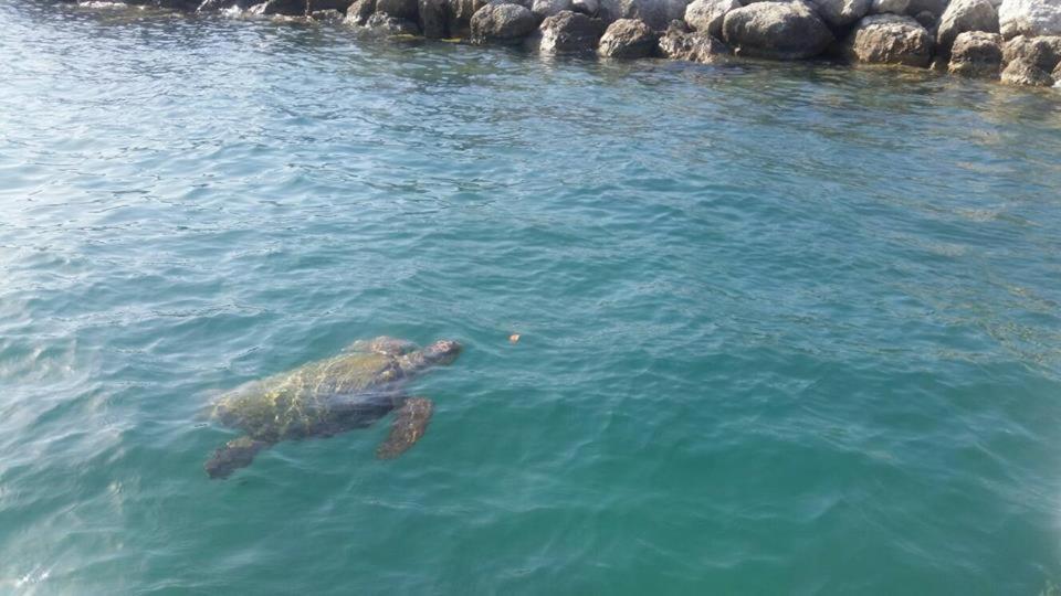 Zefiros By Sea