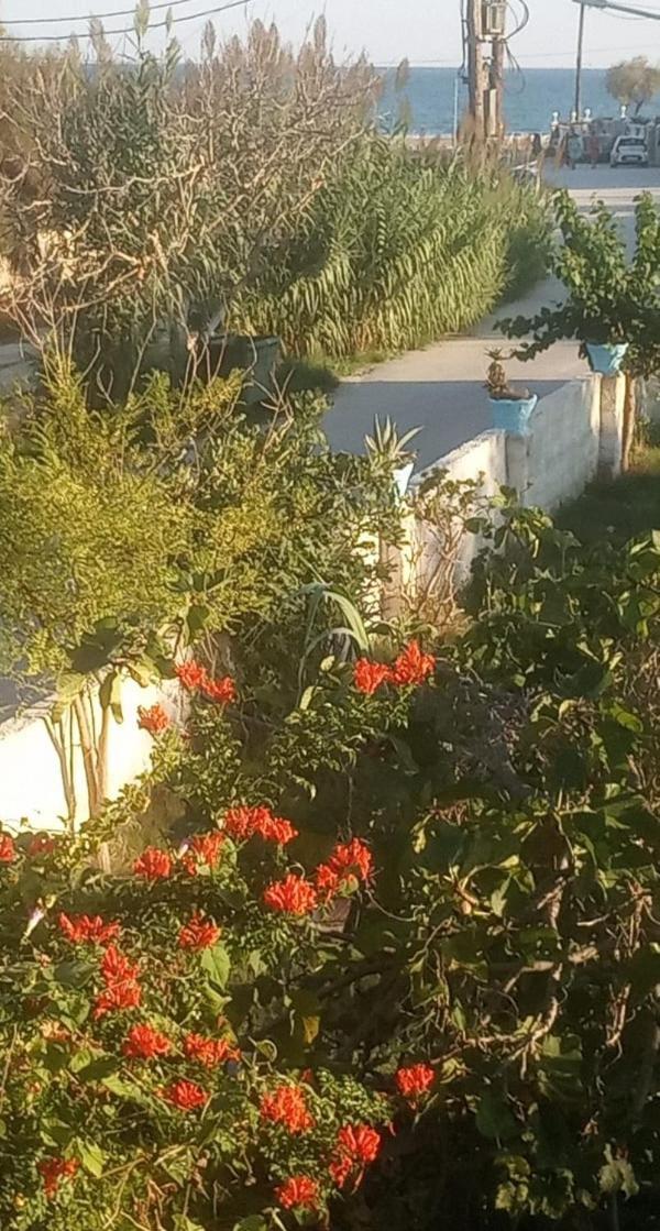 Appartement Zefiros By Sea Laganas